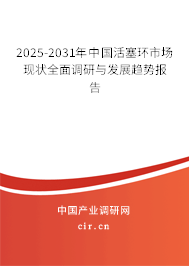 2025-2031年中國活塞環(huán)市場現(xiàn)狀全面調(diào)研與發(fā)展趨勢報告