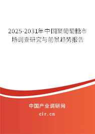2025-2031年中國聚葡萄糖市場調查研究與前景趨勢報告