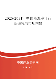 2025-2031年中國(guó)能源審計(jì)行業(yè)研究與市場(chǎng)前景