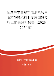 全球與中國燃料電池氫氣再循環(huán)鼓風機行業(yè)發(fā)展調研及行業(yè)前景分析報告（2025-2031年）