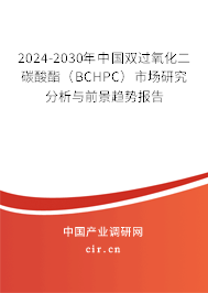 2024-2030年中國雙過氧化二碳酸酯（BCHPC）市場(chǎng)研究分析與前景趨勢(shì)報(bào)告