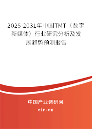 2025-2031年中國(guó)TMT（數(shù)字新媒體）行業(yè)研究分析及發(fā)展趨勢(shì)預(yù)測(cè)報(bào)告