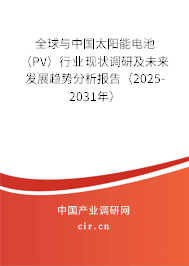 全球與中國(guó)太陽(yáng)能電池（PV）行業(yè)現(xiàn)狀調(diào)研及未來(lái)發(fā)展趨勢(shì)分析報(bào)告（2025-2031年）