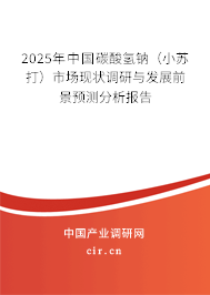 2025年中國碳酸氫鈉（小蘇打）市場現(xiàn)狀調(diào)研與發(fā)展前景預(yù)測分析報(bào)告