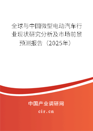 全球與中國微型電動汽車行業(yè)現(xiàn)狀研究分析及市場前景預(yù)測報告（2025年）