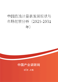 中國直流計量表發(fā)展現(xiàn)狀與市場前景分析（2025-2031年）