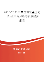 2025-2031年中國減輪胎壓力計(jì)行業(yè)研究分析與發(fā)展趨勢(shì)報(bào)告