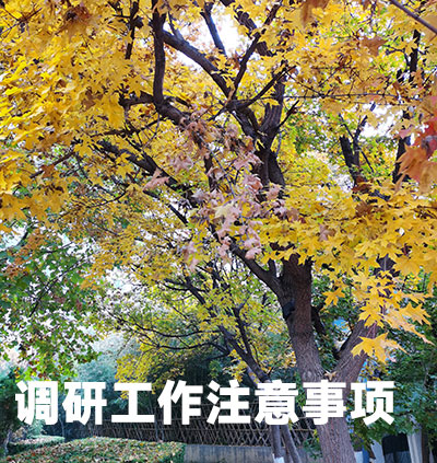 調研工作注意事項